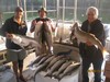 (08/09/2017) - Nice Striped Bass
